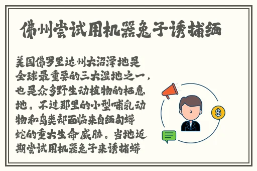 在办公室可不可以可不可以干湿你的床